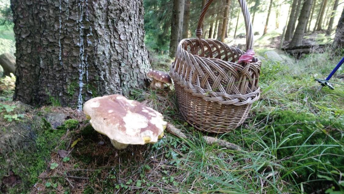 Krolikowka Stronie Śląskie Buitenkant foto