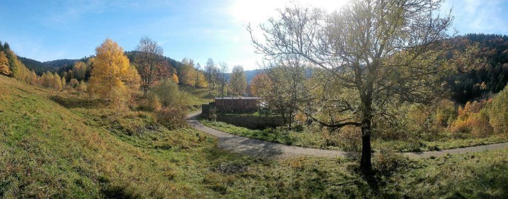 Krolikowka Stronie Śląskie Kamer foto